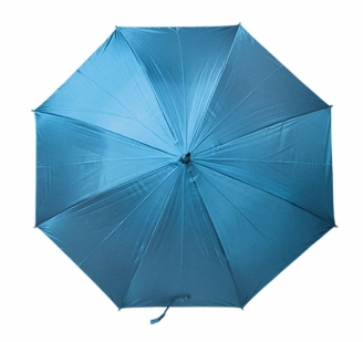 Parasol błęktny